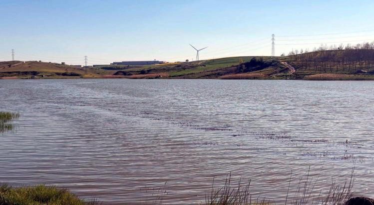 Tekirdağ'da gölette toplu balık ölümlerine inceleme