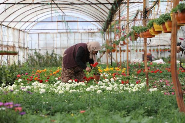 Muğla'da Üretici Kadınlar Meclisi kuruluyor