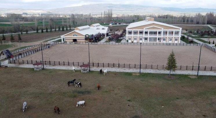 Çorum’da binicilik tesisleri yeniden canlandı, ulusal ve uluslararası yarışmalara ev sahipliği yaptı