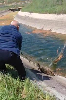 Sulama kanalına düşüp, ağlara dolanan karaca kurtarıldı; o anlar kamerada