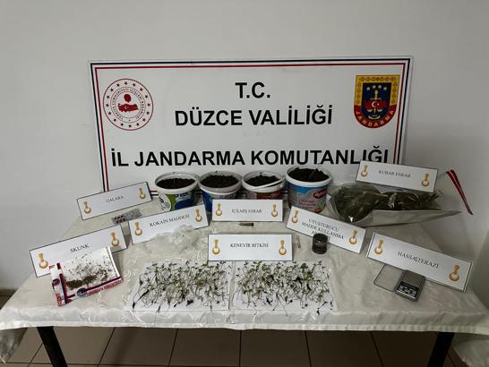 Jandarma ekiplerinden uyuşturucu operasyonu