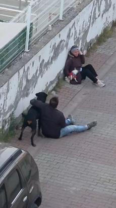 Ümraniye’de ağızlıksız gezdirilen rottweiler, küçük ırk köpeğe saldırdı