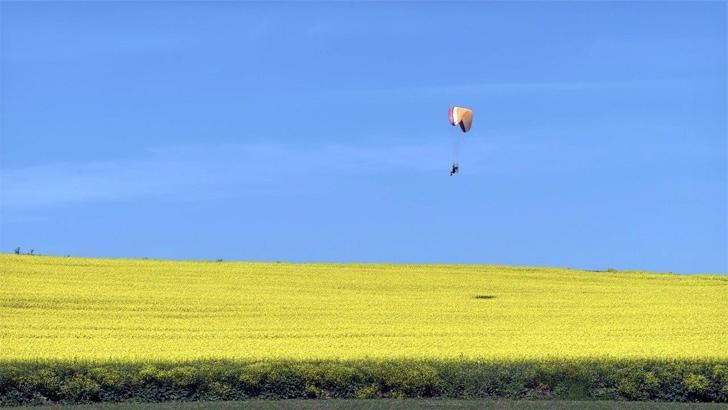 Sarı renge bürünen kanola tarlası üzerinde paramotorla uçtu