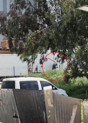 Tavuklarını yediği gerekçesiyle sokak köpeğini sopayla döven kişi gözaltında