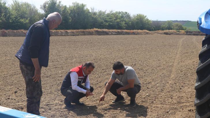 Edirne Tarım ve Orman Müdürü Köse, çeltik ekilişlerini yerinde inceledi
