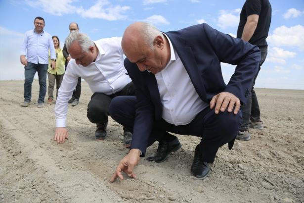 Erkoyuncu, pancar ekimine katıldı