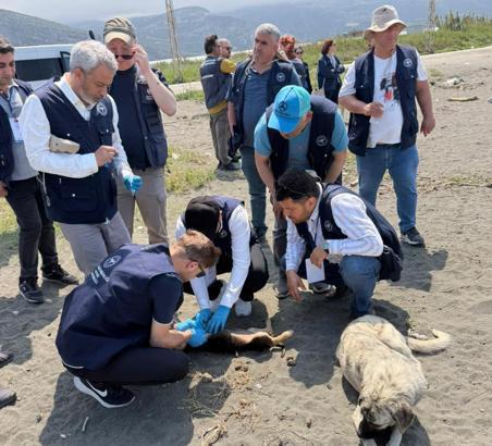 Hatay’da DSÖ işbirliğiyle vektör sürveyansı saha çalışmaları başlatıldı