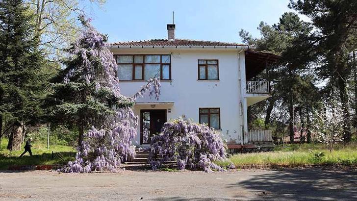 Filozof Teoman Duralı Müzesi projesi için inceleme yapıldı