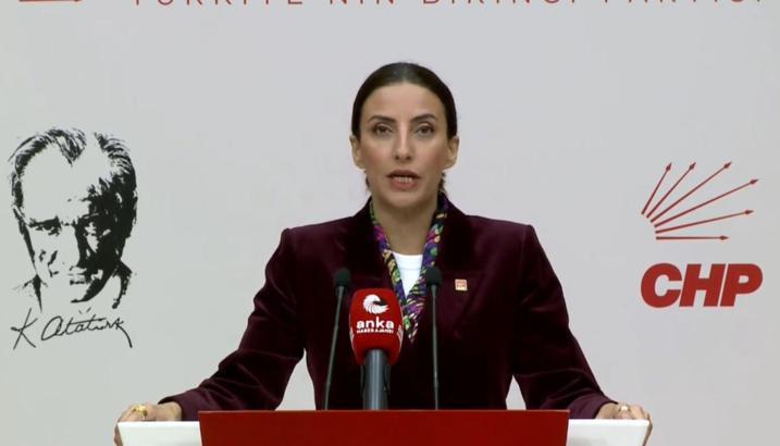 CHP'li Rızvanoğlu: Bu ülkenin ormanları sahipsiz değil