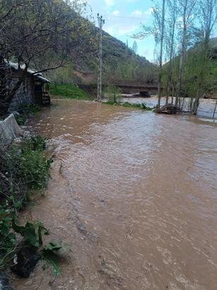 Şırnak’ta Habur Çayı taştı, ev ve ahırları su bastı