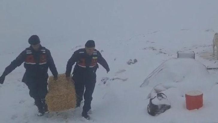 Jandarmadan karda mahsur kalan hayvanlar için saman balyası