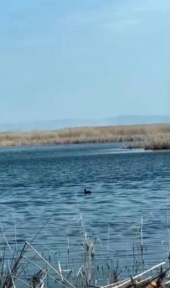 Eber Gölü'nde su seviyesi yükseldi