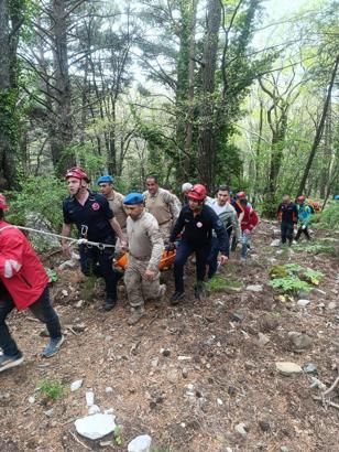 Kayıp demans hastası ormanda ölü bulundu