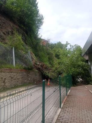 Terminal bölgesinde heyelan; yıkılan ağaç, peronlara devrildi