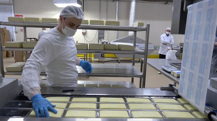 Erzincan'da günlük 45 ton kapasiteli süt fabrikası çiftçiye gelir sağlıyor
