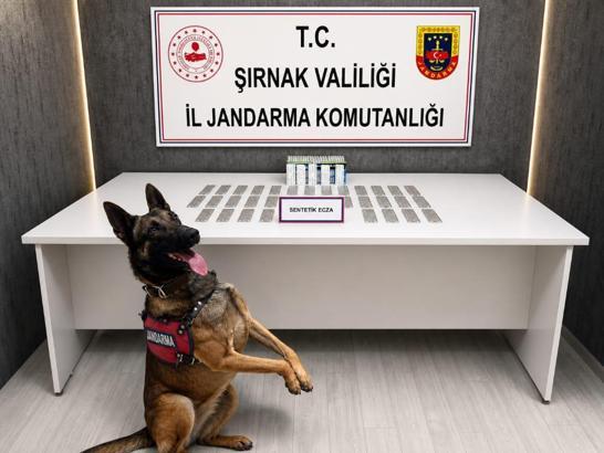 Şırnak’ta 1 haftada kaçakçılık ve narkotik operasyonlarında 145 gözaltı