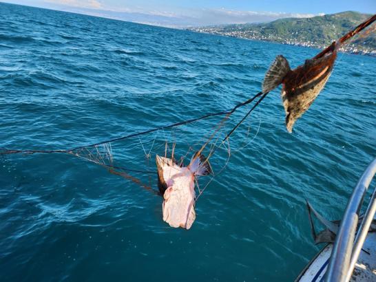 Kalkan av yasağı denetimlerinde 3 bin metre ağa el konuldu