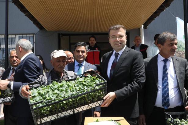 Ata tohum fideleri toprakla buluşuyor