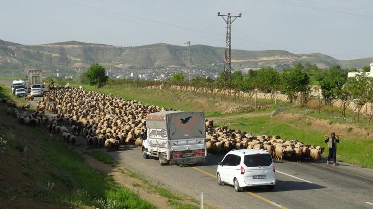 Gercüş’te, göçer ailelerin yayla yolculuğu başladı