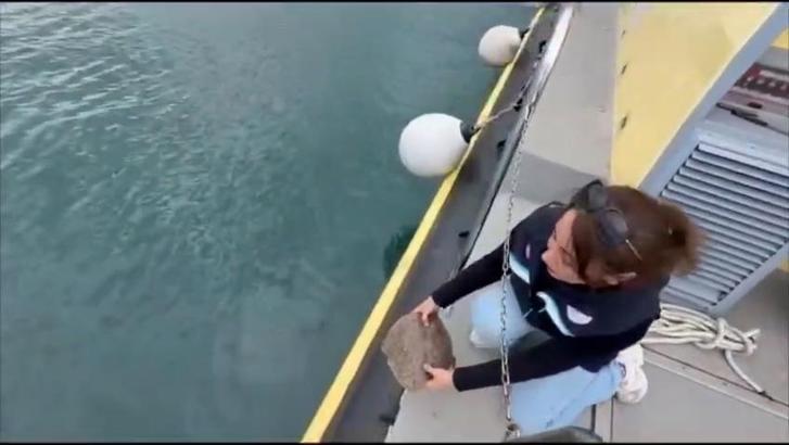 Ordu'da yasağa uymayanların ağlarına el konuldu