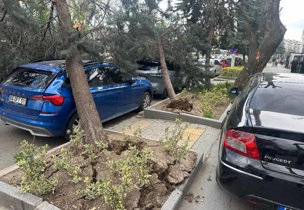 Ankara'da kuvvetli rüzgar; ağaçlar devrildi, araçlar zarar gördü