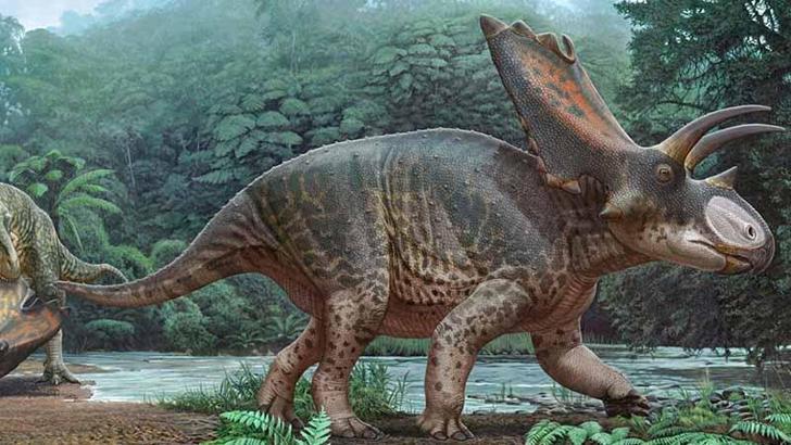 Tayland'da yeni bir dinozor türüne ait kalıntılar bulundu