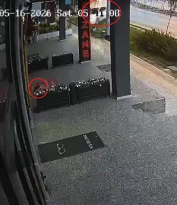 Otomobil, site duvarına çarptı; kaza ve son anda kaçan kedi kamerada