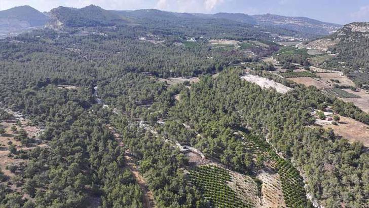 Mersin’de ormanlık alanlara giriş yasaklandı
