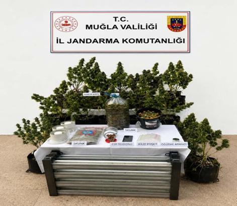 Muğla'da uyuşturucu operasyonlarında 9 tutuklama