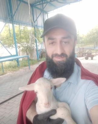Bursa'da 4 aracın karıştığı zincirleme kaza: 1 ölü, 4 yaralı