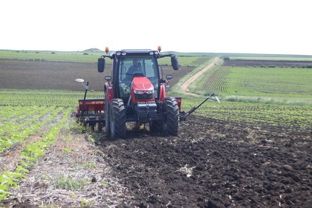 Edirne’de, ayçiçeği verimini arttırmak için 2’nci yıl ekimleri gerçekleştirildi