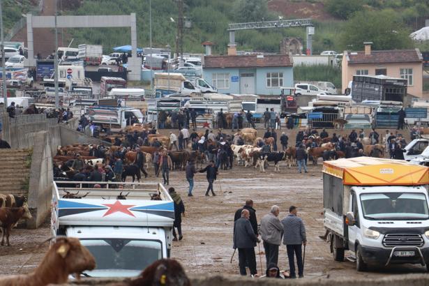 Diyarbakır’da kurban pazarında hareketlilik