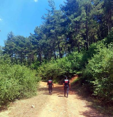 Muğla'da ormanlara giriş yasağı