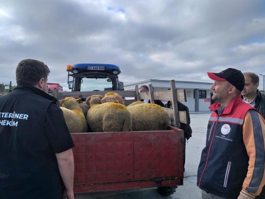 Edirne’de, Kurban Bayramı öncesi denetimler sıklaştırıldı