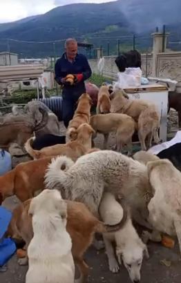 Kendini öğrencilere ve patili canlara adadı