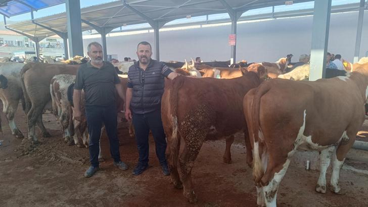 Niğde'de kurban hareketliliği başladı