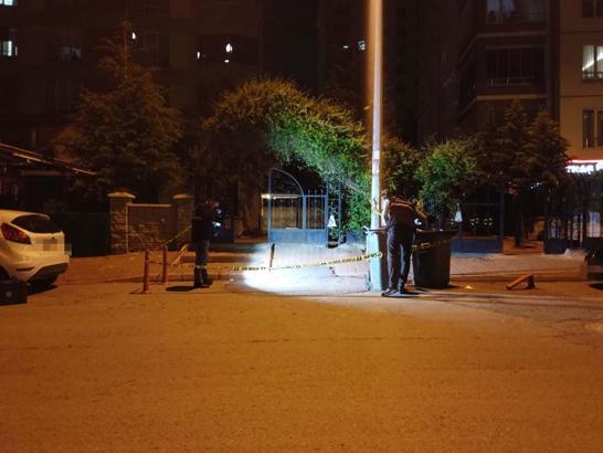 Darbedilen kadına yardım eden 2 kardeş bıçakla yaralandı