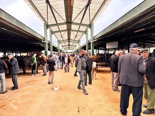 Kütahya'da kurban bayramı öncesi hayvan pazarında hareketlilik