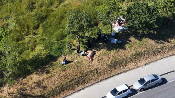Sultangazi'de kurbanlıkları yol kenarları ve parklarda kestiler