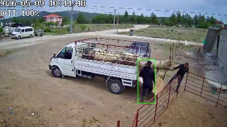 Koçun saldırısına uğrayan besici kamyonetten düştü
