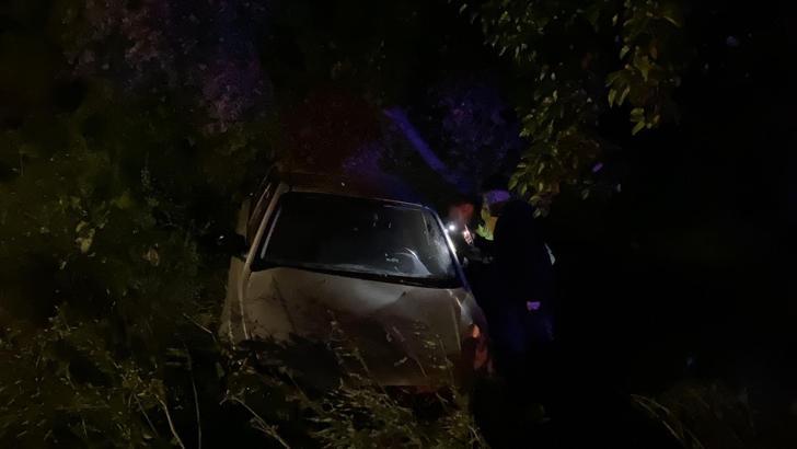 Bursa'da otomobil zeytinliğe uçtu: 2'si çocuk 4 yaralı