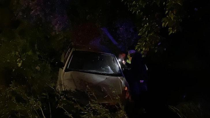 Bursa'da otomobil zeytinliğe uçtu: 2'si çocuk 4 yaralı