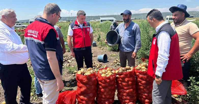 Osmaniye’de soğan hasadı başladı