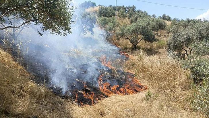 Aydın'da maki yangını; 40 dekar alan zarar gördü