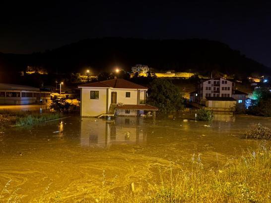 Sakarya'da sağanakta dere taştı; evleri ve tarım arazilerini su bastı