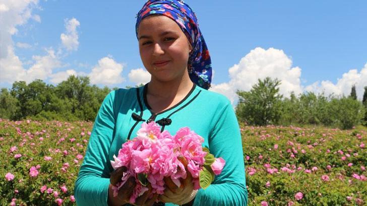 Isparta'da gül sezonu başladı