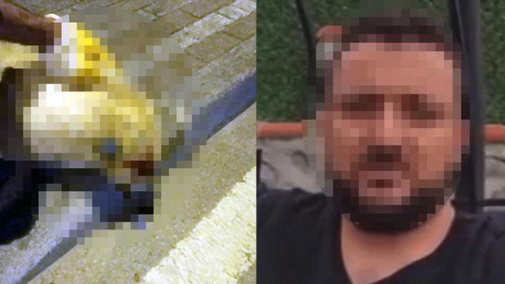 Oğlunu ısıran köpeği öldüren kişiye verilen beraat kararını istinaf bozdu