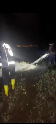 Van Gölü'nde kaçak avlanan 400 kilo inci kefali suya bırakıldı