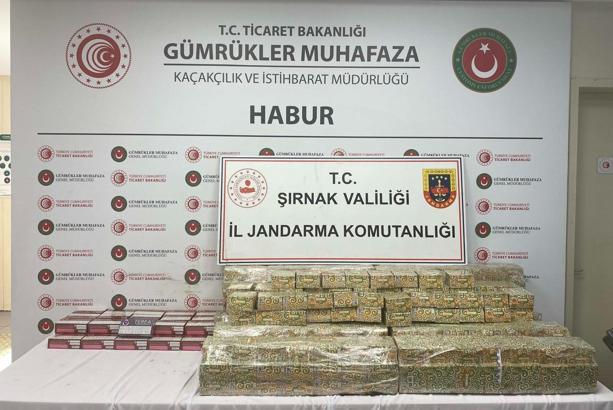 Şırnak'ta kaçakçılık ve narkotik operasyonları: 104 gözaltı