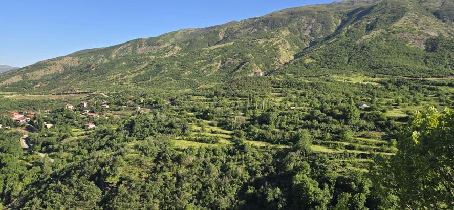 Şırnak'ta ormanlara girişler 30 Eylül'e kadar yasaklandı